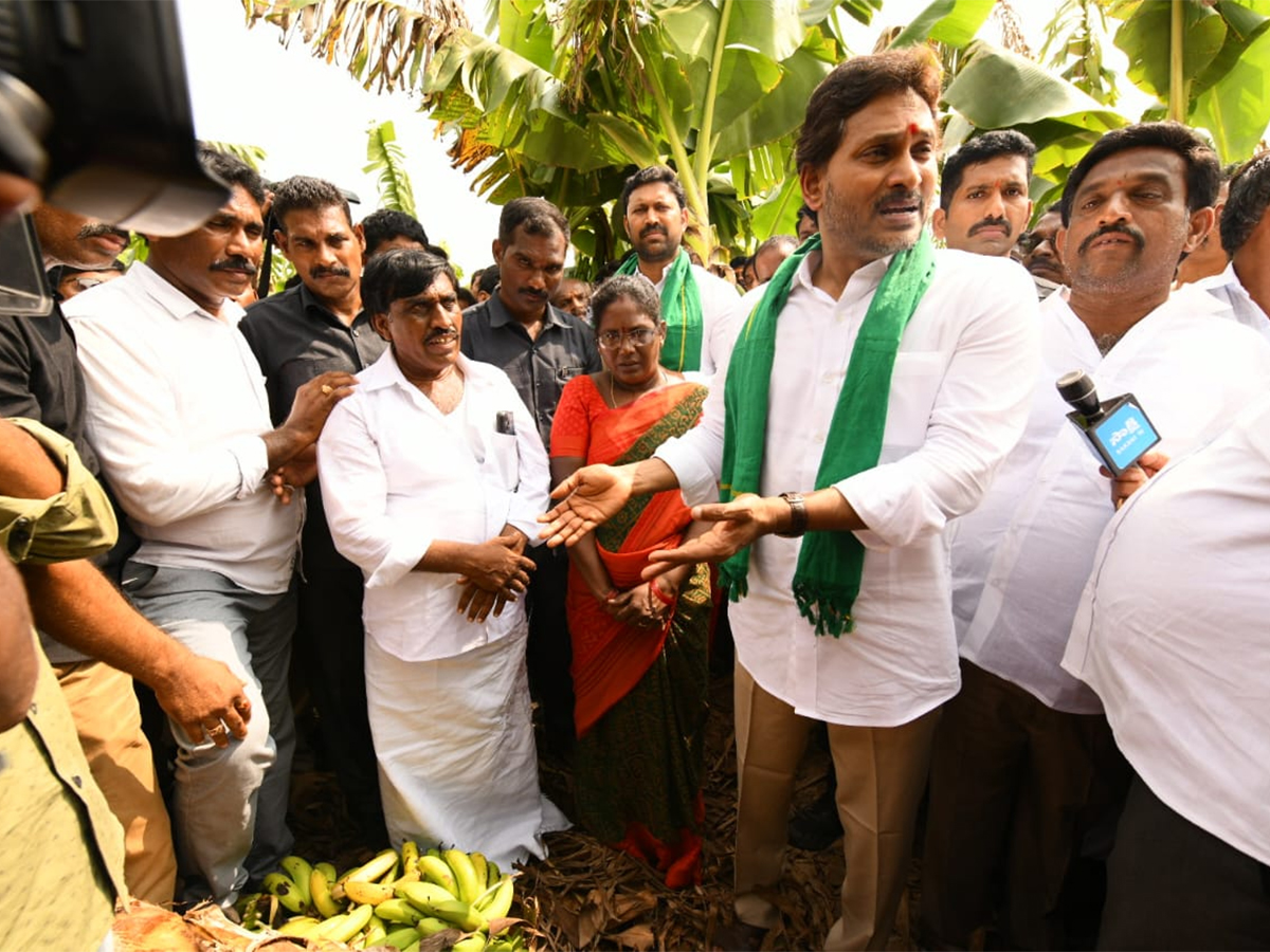 YS_20Jagan_20Visit_20Banana_20Farmers_20At_20Brahmanapalli_20Photos__20_284_29.jpg 4