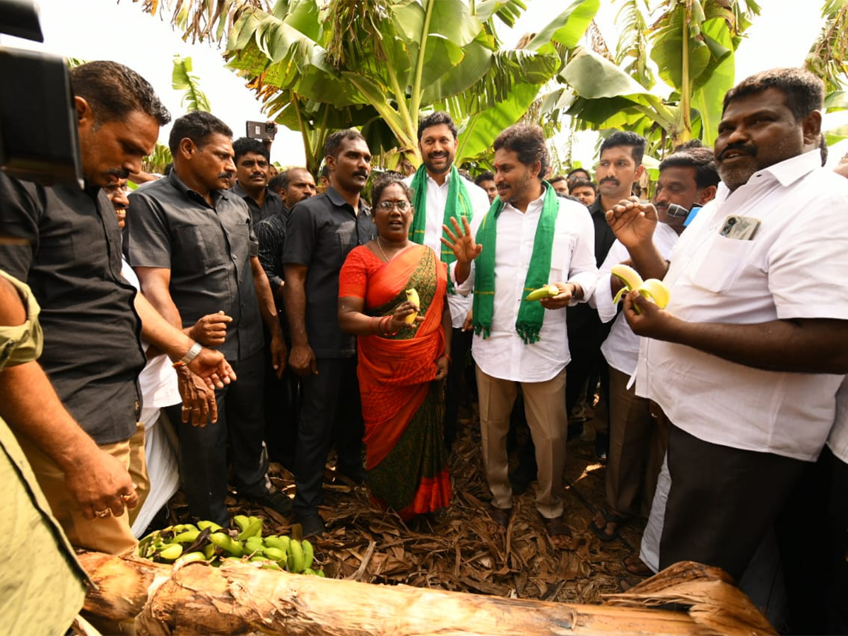 YS_20Jagan_20Visit_20Banana_20Farmers_20At_20Brahmanapalli_20Photos__20_287_29.jpg 7