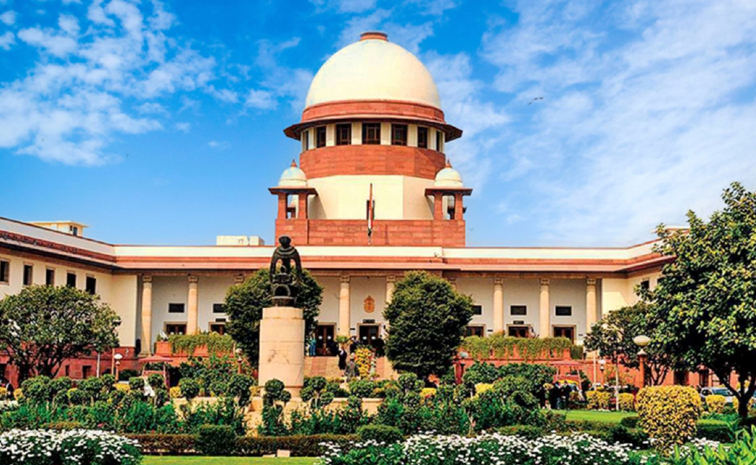 court.jpg
