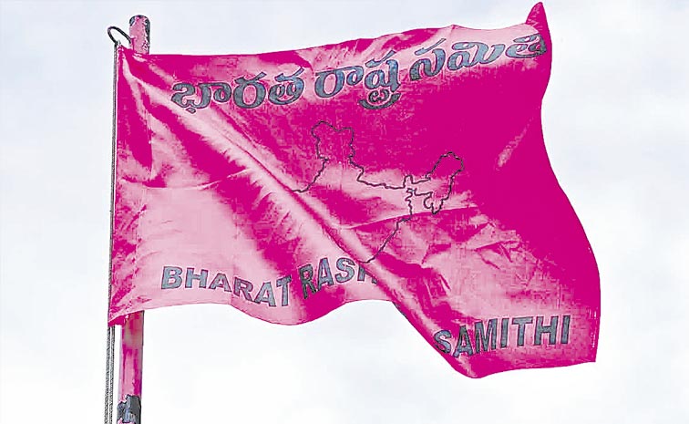 BRS-FLAG-2.jpg