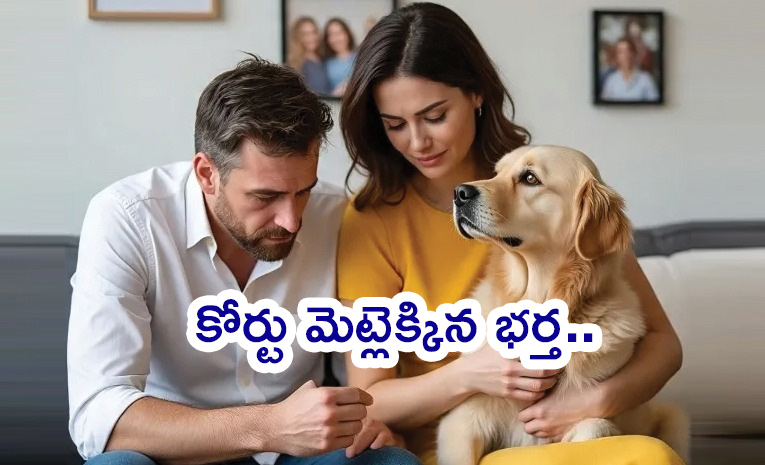 Pet-Dog.jpg