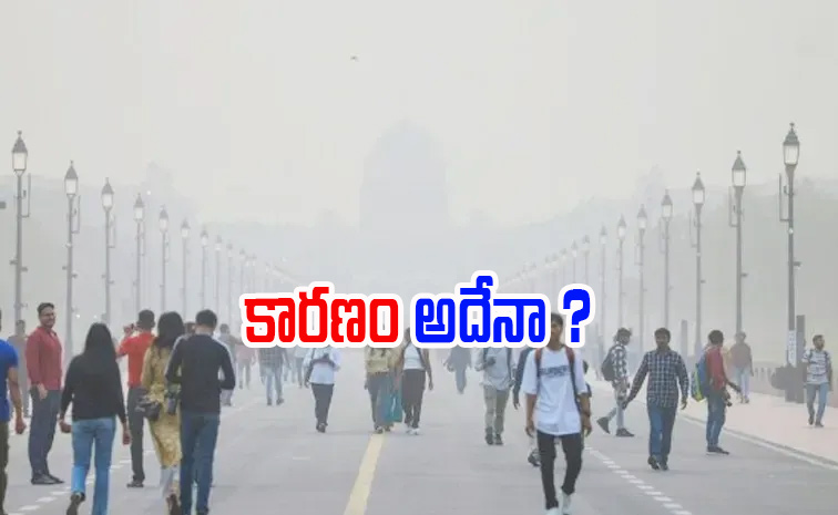 delhi.jpg