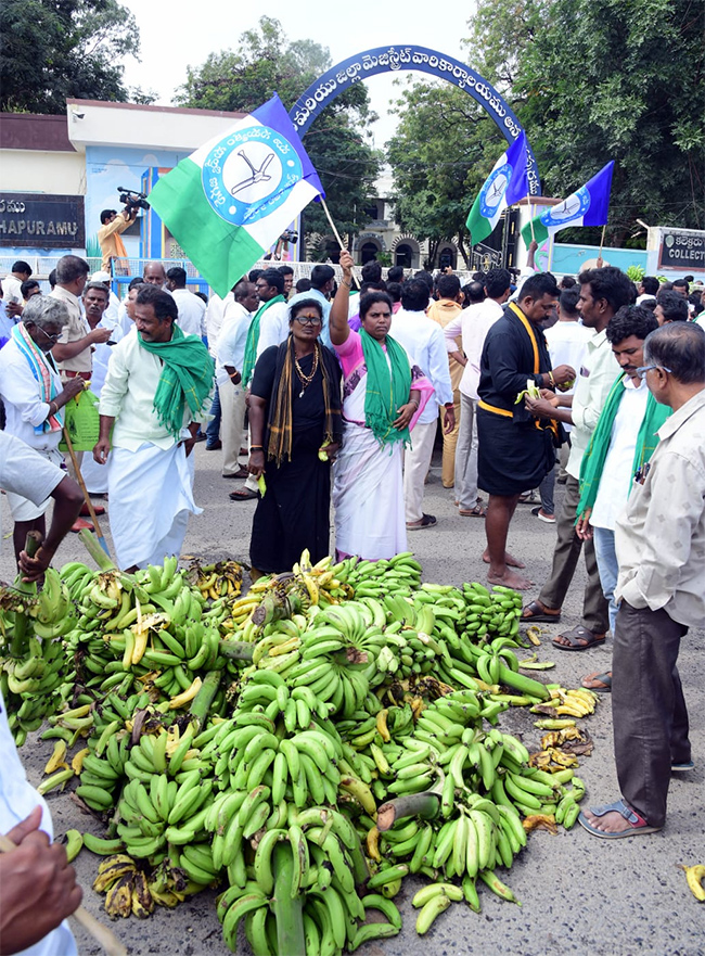 Banana_20Farmers_20Huge_20Protest_20Against_20Chandrababu_20Govt_20At_20Anantapur__20_284_29.jpg 4