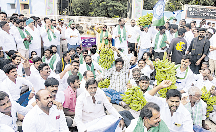 Banana-Farmers.jpg