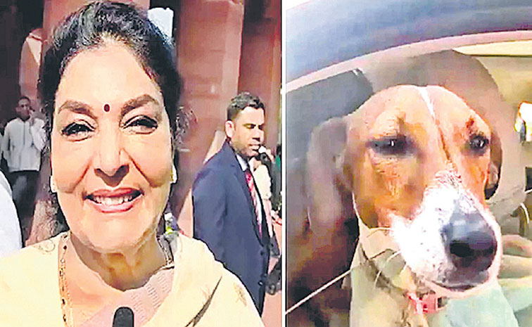 RENUKA-DOG.jpg