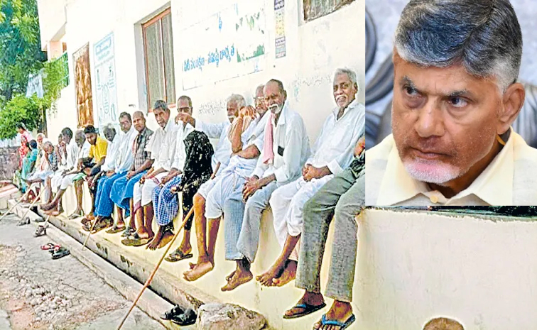 cbn11.jpg