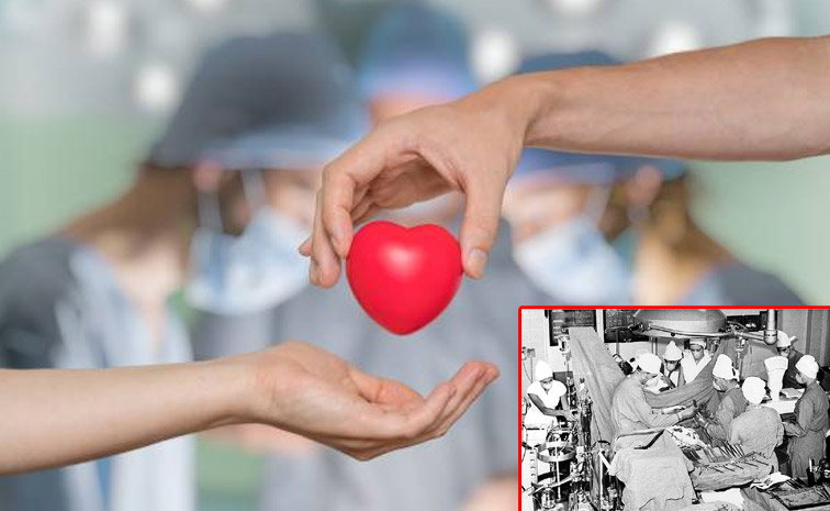 heart-first.jpg