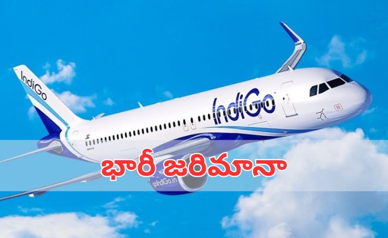 indigo.jpg