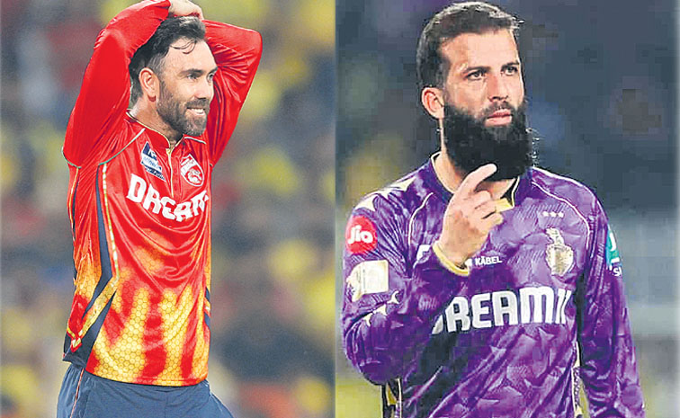 ipl.jpg