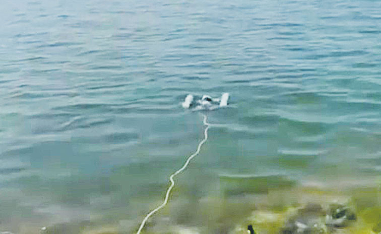 drone.jpg