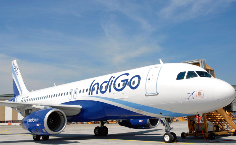 indigo.jpg