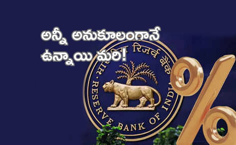 rbi.jpg