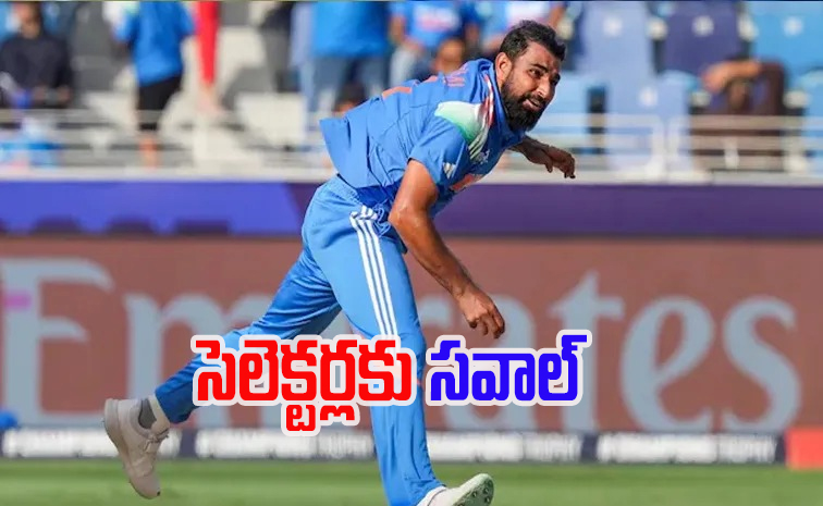 shami.jpg
