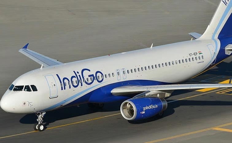 Indigo_Delays.jpg