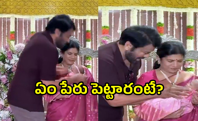 chiru_0.jpg