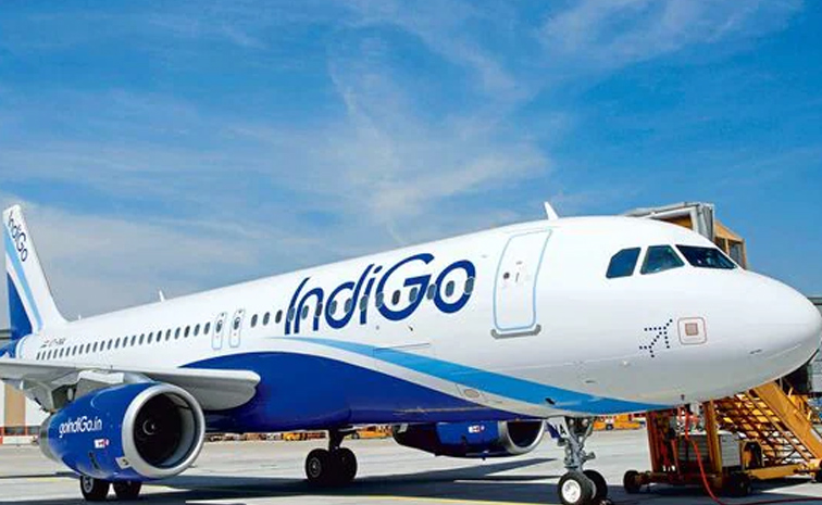 indigo123.jpg