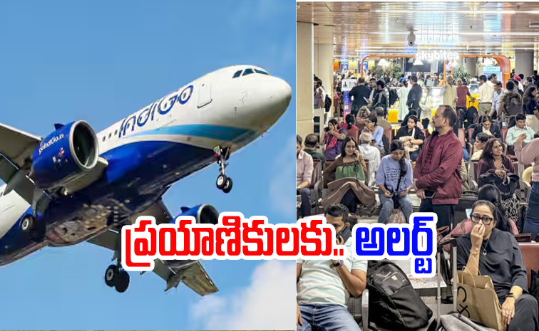 indigo4.jpg