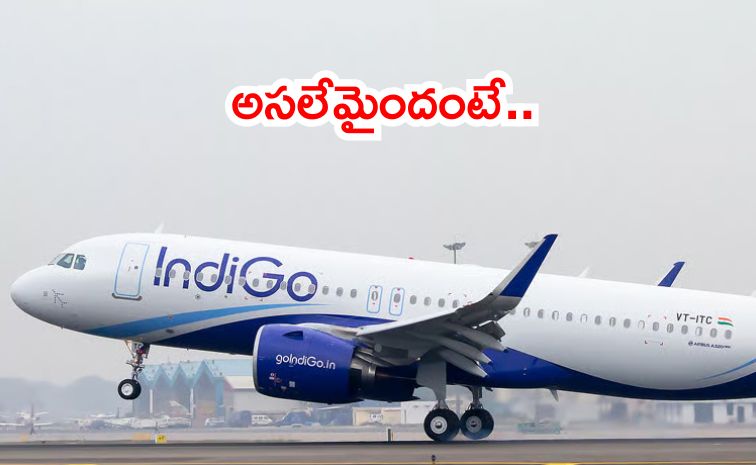 indii.jpg