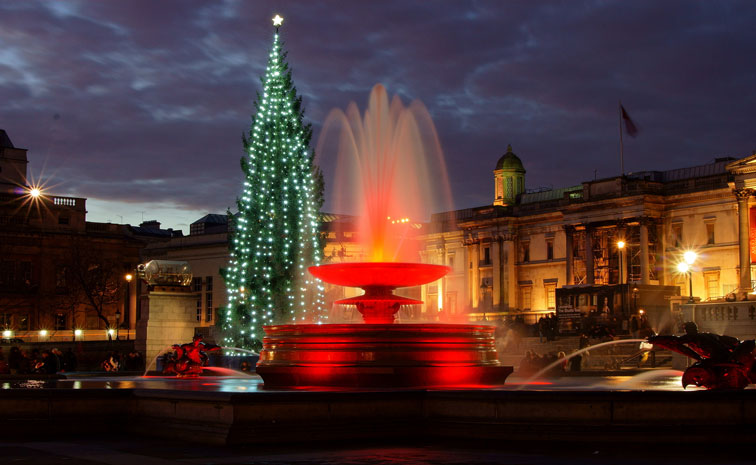 tree11.jpg