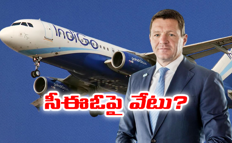 ceo_20indigo.jpg