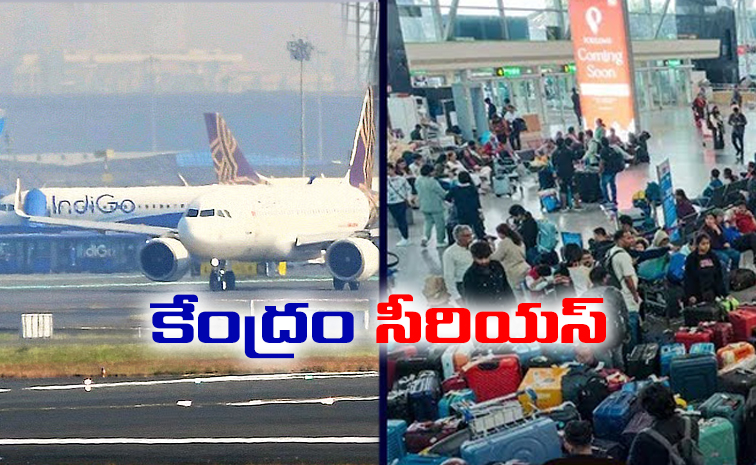 indigo4.jpg