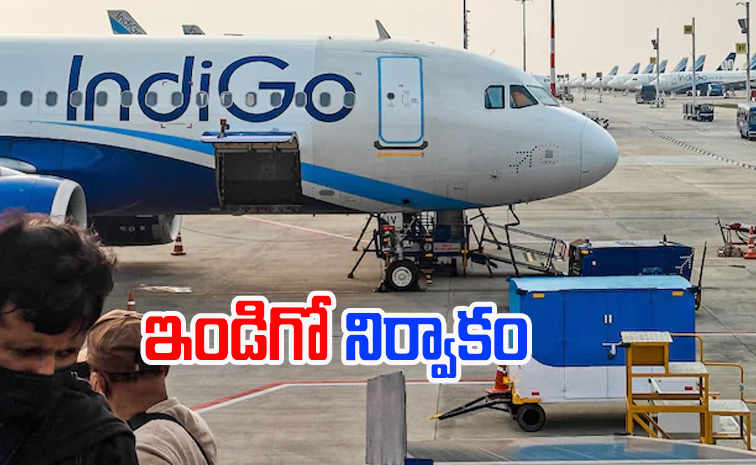 indigo_flight.jpg