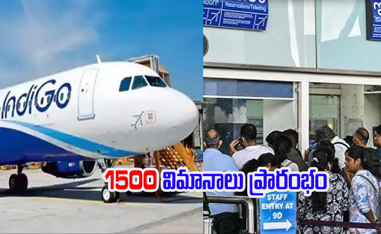 indigo_passengers123.jpg