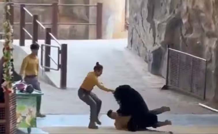 bear.jpg