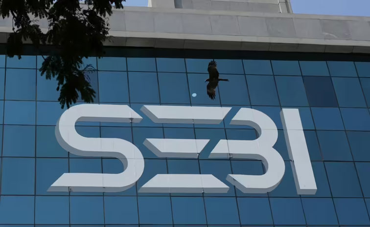 sebi.jpg