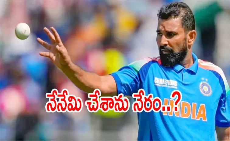 shami.jpg