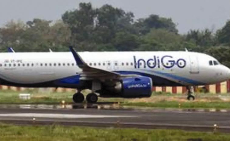 IndiGo-flights.jpg