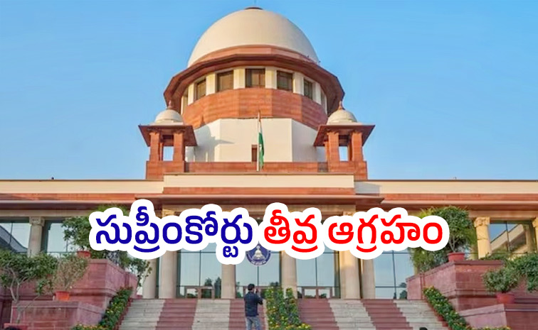 Supreme-Court-Judge.jpg