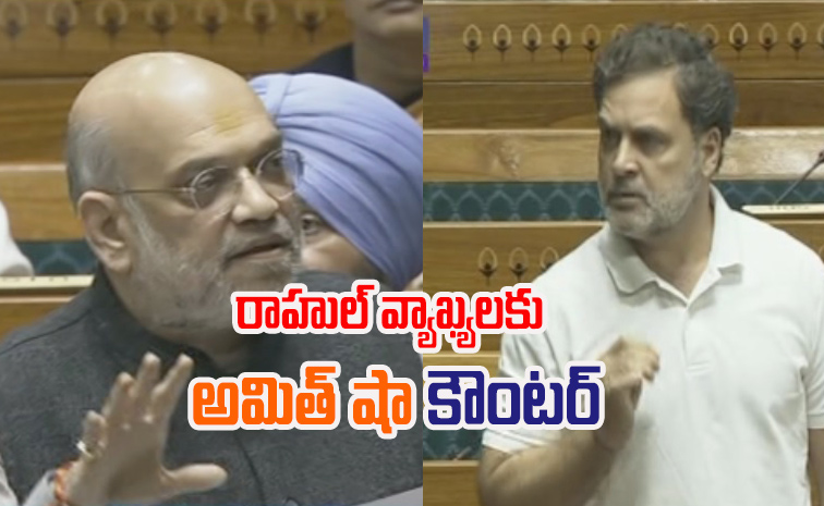 amithshah_rahulgandhi.jpg