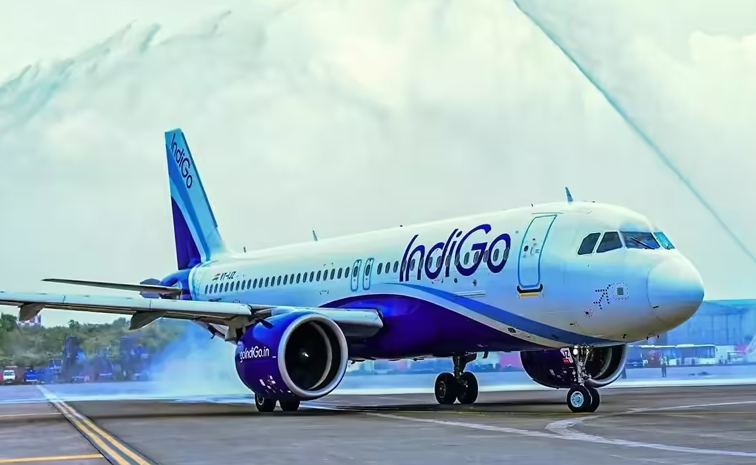 indigo.jpg