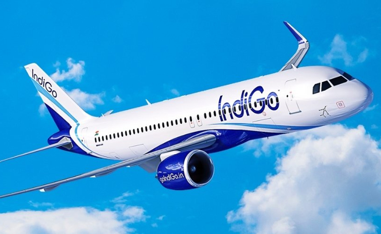indigo_0.jpg