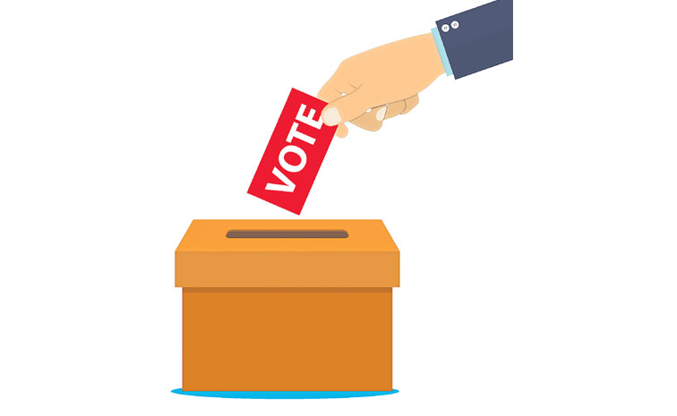 vote.jpg