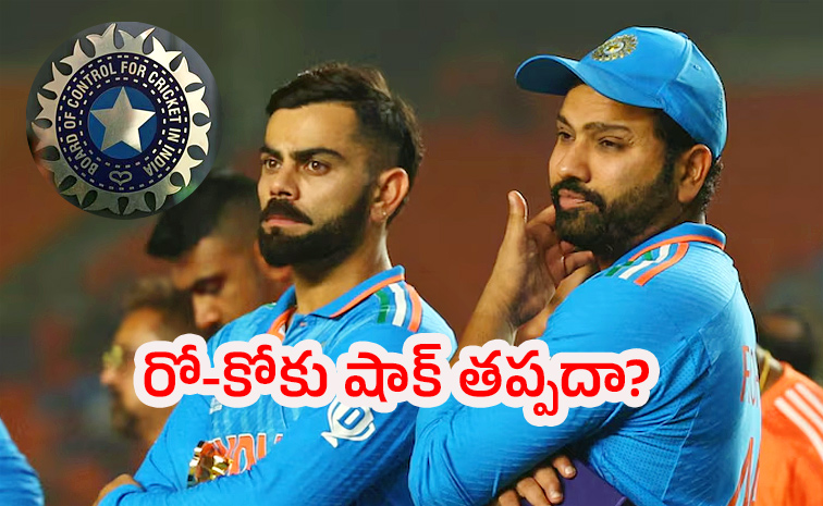 BCCI-Contract.jpg