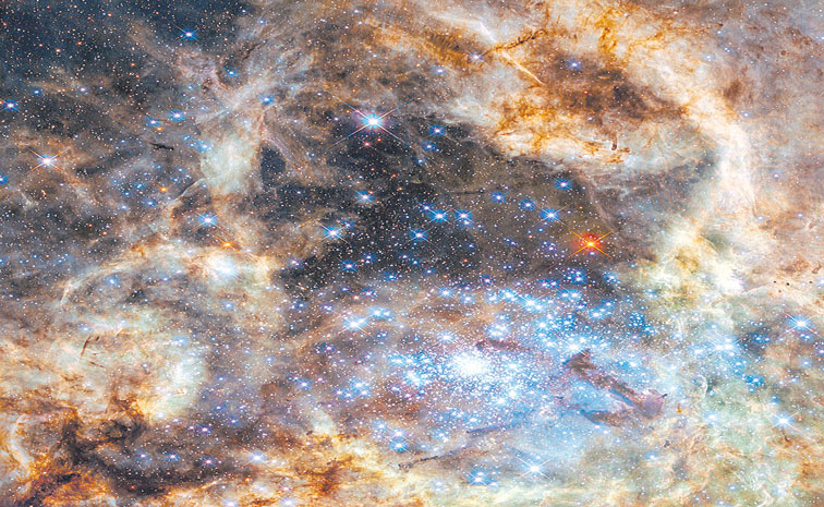 MONSTER-STAR.jpg