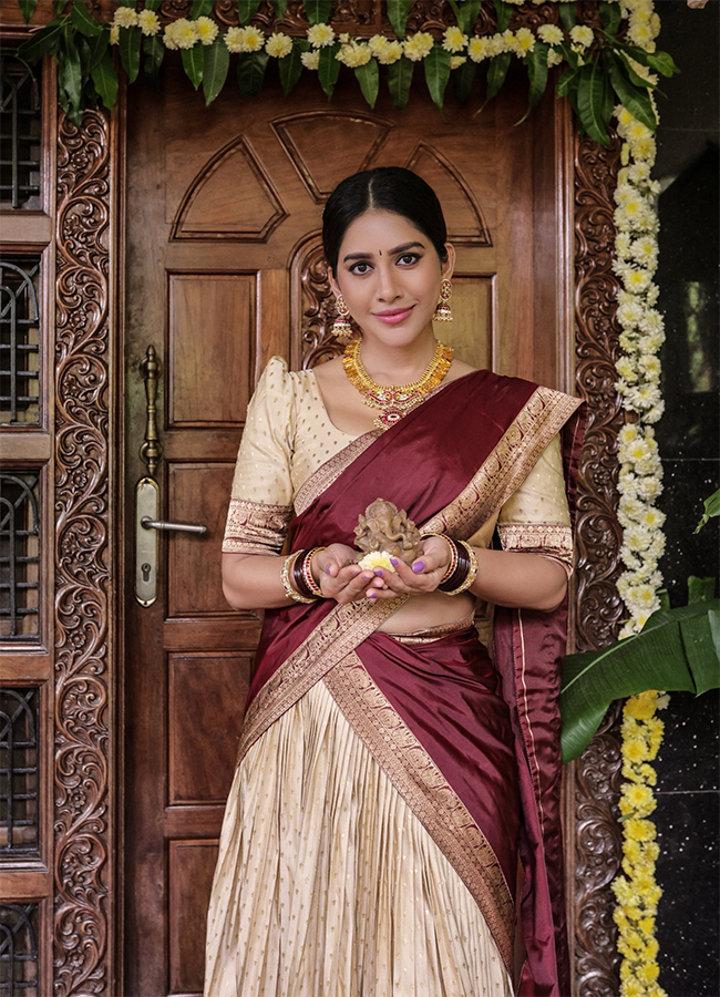 Tollywood_20Actress_20Nabha_20Natesh_20Birthday_20Special_20HD_20Pics__20_287_29.jpg 7