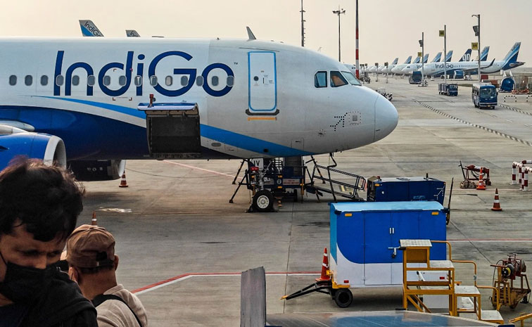 indigo.jpg