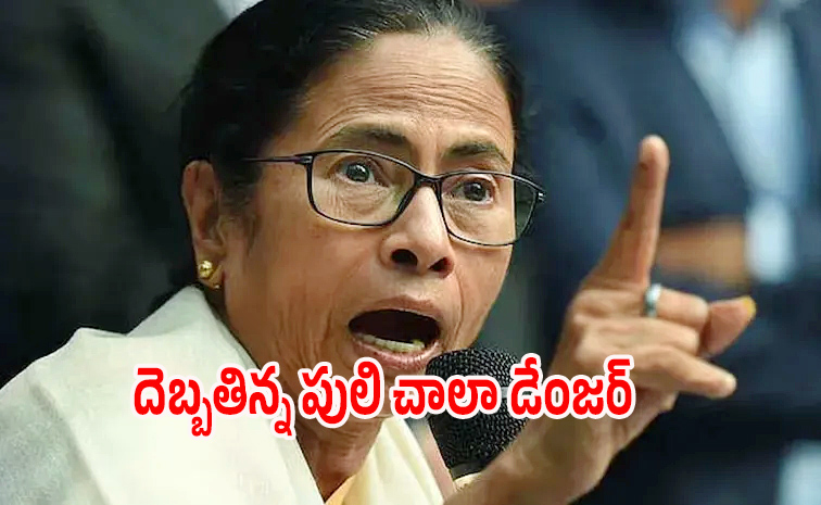 mamata.jpg