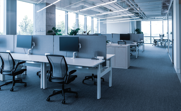 office01.jpg