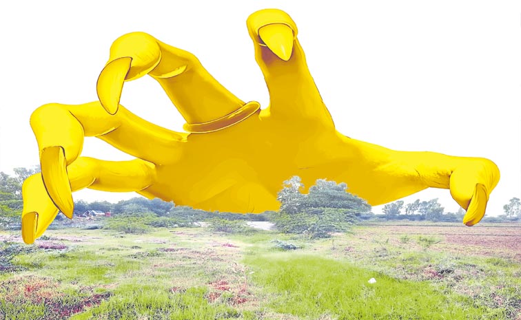 LANDS.jpg