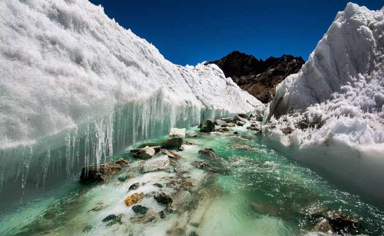 himalayan.jpg