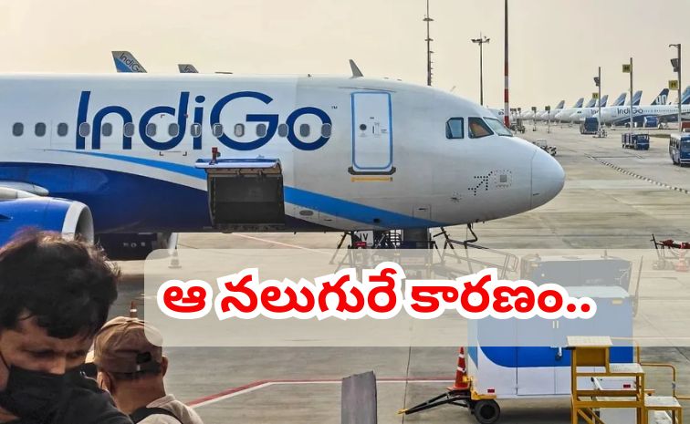 indigo.jpg