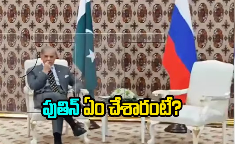 putin.jpg