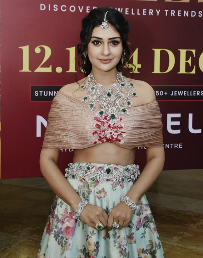 Actress_20Payal_20Rajput_20HiLife_20Jewels_20Exhibition_20Photos__20_2813_29.jpg 13