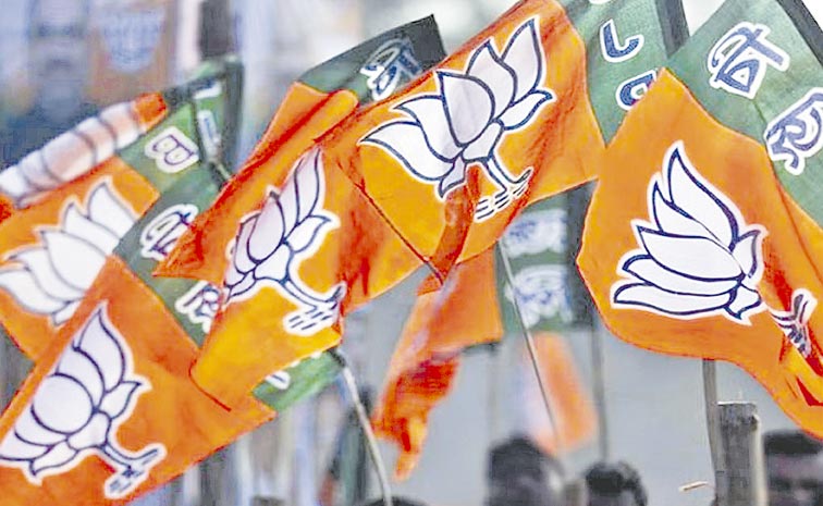 BJP-FLAGS-2.jpg