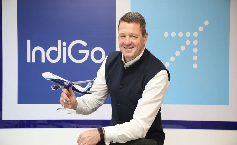 CEO-INDIGO.jpg