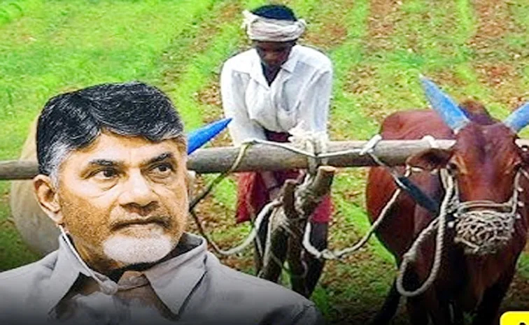 cbn.jpg